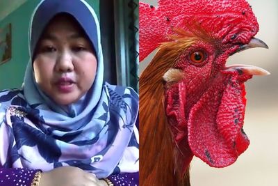 Video Guru Lagi Mengajar Kelas Online Pagi Hari, Justru Ditemani Suara Ayam yang Berkokok