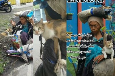 Akhir dari Upaya Penyelamatan Kucing yang Viral Terikat Bersama Wanita Tua