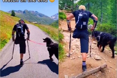 Setia Temani Pemiliknya yang Disabilitas Naik Gunung, Anjing ini Tuai Pujian dari Netizen