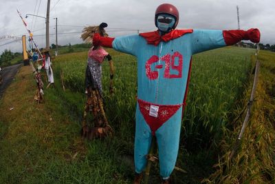 FOTO: Festival Wong-Wongan Sawah di Sukoharjo