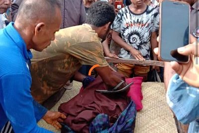 Cari Rumput Laut, Pria NTT Tewas Diterkam Buaya Muara, Jasad Ditemukan Warga Tak Utuh Lagi