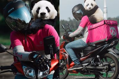 Driver Ojol Ini Bawa Panda Bersamanya di Hari Terakhir Kerja, Warganet Terkesan