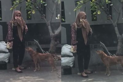 Reuni dengan Anjing yang Mengejarnya Saat SMP, Ekspresi Cewek Ini Bikin Ngakak