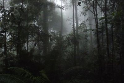 Minibus Tersesat ke Arah Hutan Gunung Putri Blok Maniis Tonggoh, Seluruh Penumpang Selamat