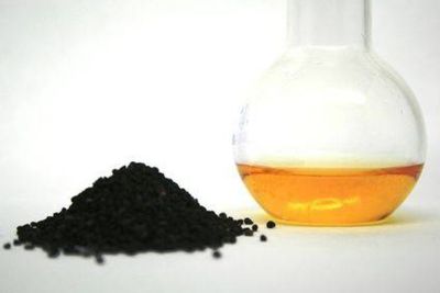 Meski Pahit, Tapi Jintan Hitam Bagus Untuk Kesehatan Tubuh! Ini Manfaatnya!