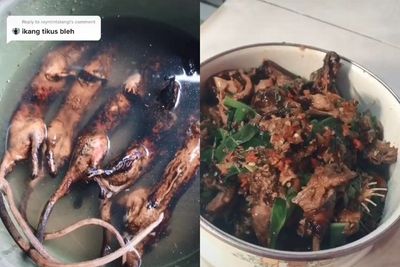 Viral Wanita Buat Tutorial Masak Daging Tikus, Netizen: Gue Ikhlas Makan Nasi Sama Garam