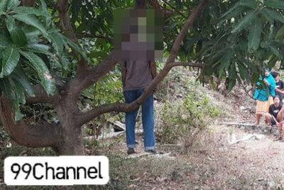 Seorang Pria Berusia 66 Tahun Ditemukan Tewas Gantung Diri di Pohon