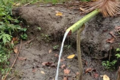 Usai Gempa di Majene, Mendadak Muncul Mata Air di Dekat Pengungsian Warga