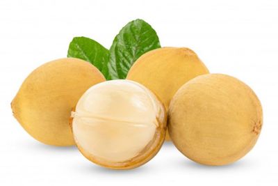 Manfaat Buah Duku Bagi Kesehatan yang Banyak Orang Tidak Tahu