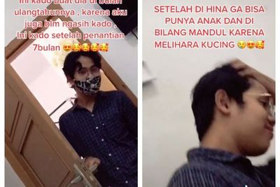 Dihina Tak Bisa Punya Anak karena Pelihara Kucing, Istri Ini Beri Kejutan saat Ultah Suami