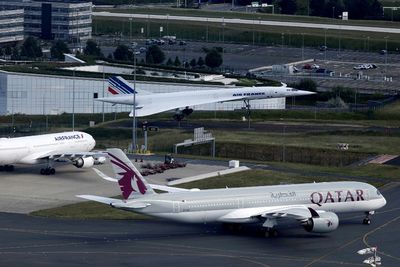 Lestarikan Hewan, Qatar Airways Cargo Gratiskan Penerbangan Satwa Liar ke Habitatnya