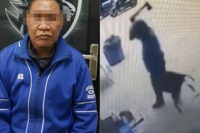 Pria yang Bunuh Kucing Pakai Kapak Mengaku Konsumsi Daging Kucing untuk Atasi Darah Tinggi