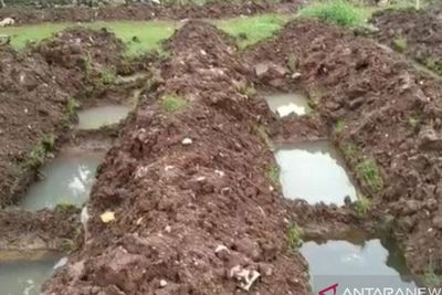 Astaga! Puluhan Makam untuk Jenazah Covid-19 Malah Tergenang Air Hujan