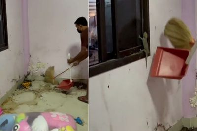 Bersihkan Ruangan Lama, Pria Ini Temukan Sarang Tokek, Netizen: Auto Kaya Raya