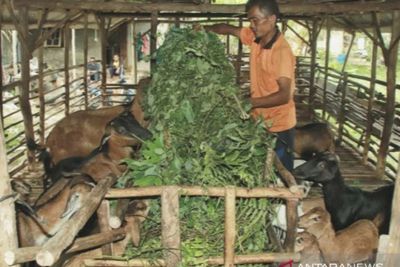 Jumlah Penduduk Miskin di Riau Meningkat akibat Pandemi Covid-19
