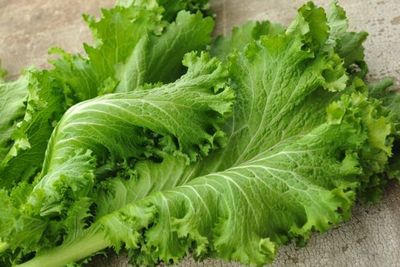 Inilah Mustard Green, Sayuran Pertama yang Ditanam NASA di Antariksa