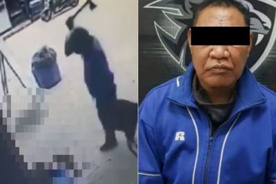 Brutal! Detik-detik Pria Batam Ayunkan Kapak Bunuh Kucing, Hendak Makan Dagingnya