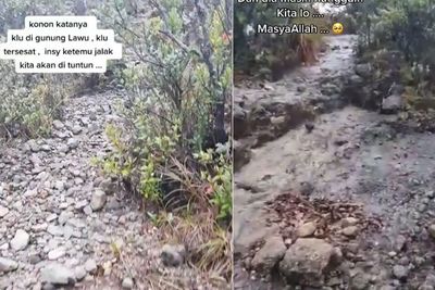 Merinding! Pengalaman Pria Dituntun Burung Jalak di Gunung Lawu Saat Tersesat