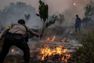 Ada 10 Titik Kebakaran di Empat Kabupaten di Riau, Polisi Klaim Sukses Padamkan Api