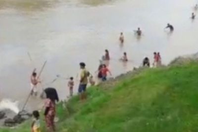 Air Sungai Wampu Stabat Berubah warna jadi Pekat, Udang dan Ikan Bermunculan ke Permukaan