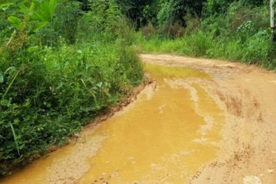 Akses Jalan Mengangkut Hasil Bumi di Madina tak Tersentuh Aspal dan Rusak Parah
