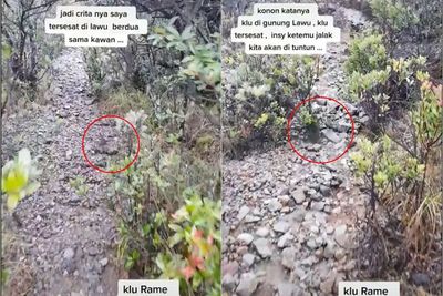 Kisah Pria yang Tersesat di Gunung Lawu, Selamat Hingga ke Puncak Dituntun Jalak