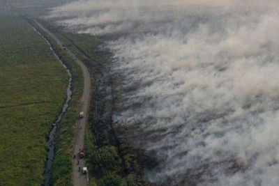 Hujan Belum Turun, Titik Panas Indikasi Kebakaran Hutan di Riau Naik Drastis hingga 63