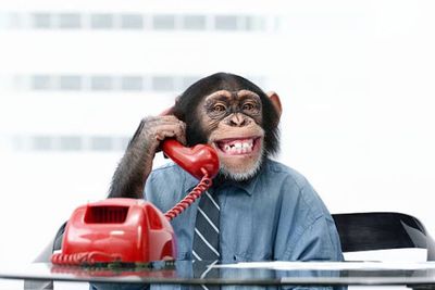 Waspada Fenomena Monkey Business, Bukan Untung Malah Buntung