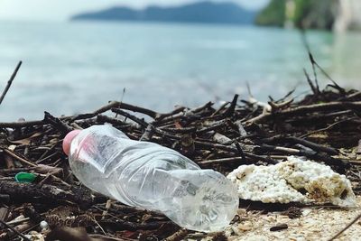 Dua Ilmuwan Ini Berhasil Mengatasi Sampah Plastik di Laut dengan Ciptakan Bakteri Baru
