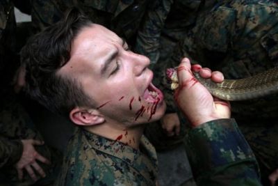 Mengerikan! Para Tentara AS Dipaksa Makan Tokek Hidup dan Minum Darah Ular