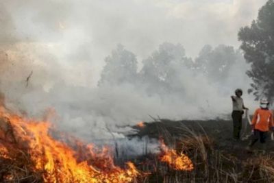 Cegah Karhutla Melanda Indonesia, Begini Saran Pimpinan DPR kepada Pemerintah