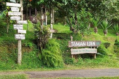 Taman Eden 100, Objek Wisata di Toba Sumut Kaya Nuansa Alam, Mulai Kemah Hingga Air Terjun