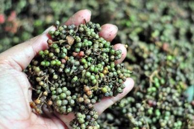 Mengenal Bumbu Dapur Andaliman, Rempah Eksotik dari Tanah Batak