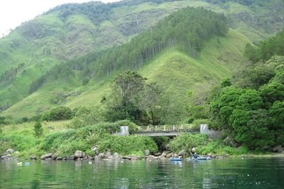 Tawarkan Pemandangan Alam Nan Asri, Tao Silalahi Jadi Objek Wisata Andalan Kabupaten Dairi