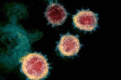 Tiongkok Bersikukuh Virus Corona Bukan Berasal dari Wuhan