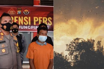 Buang Puntung Rokok Sembarangan, Pria Ini Bikin 3 Ribu Meter Hutan & Lahan Terbakar