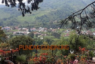 Puncak Gundaling Jadi Salah Satu Objek Wisata Andalan di Tanah Karo
