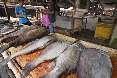 FOTO: Peningkatan Konsumsi Ikan Nasional