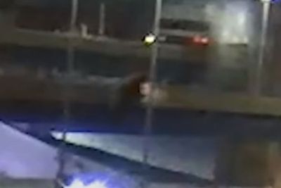 Pengendara di Milwaukee Ini Jatuh dari Jembatan Jalan Tol, Diduga Mabuk Saat Berkendara