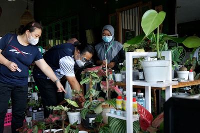 FOTO: Pameran Tanaman Hias Kebun Bupati di Yogyakarta
