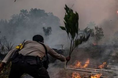 Polda Riau Klaim Telah Lakukan Upaya Pemadaman di 129 Titik Api dari 141 Titik Panas