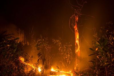 FOTO: Kebakaran Hutan dan lahan Pekanbaru