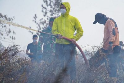 40 Hektare Lahan Gambut di Kalbar Terbakar, Pemko Pontianak Segel Lima Lokasi