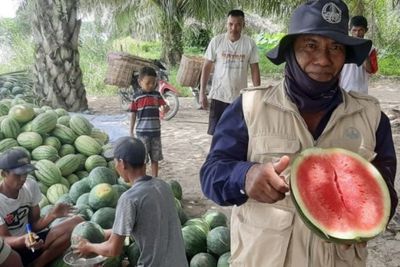 BBKSDA Sumut Selaraskan Kawasan Konservasi dan Peningkatan Kesejahteraan Warga