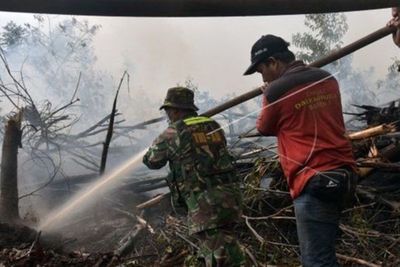 Petugas Gabungan Terus Berusaha Padamkan Api di Cagar Bioster Giam Siak Kecil Riau