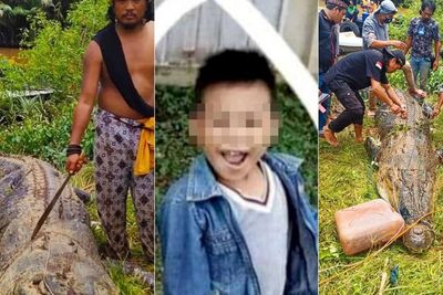 Penampakan Buaya Raksasa 4 Meter yang Terkam Bocah 8 Tahun, Kepalanya Dihujam Tombak