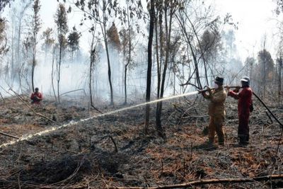 Dalam Tiga Bulan, Polda Riau Ringkus Delapan Orang Pelaku Pembakar Hutan dan Lahan