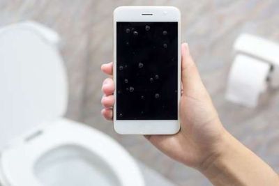 Stop Bawa Handphone ke Toilet, Dampaknya Buruk