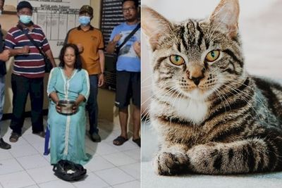 Masukkan Racun Biawak ke Masakan Mertua, Dewi Asmara Juga Tewaskan 3 Kucing