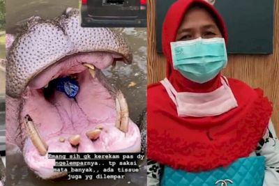 Khadijah, Wanita Pelempar Botol Plastik ke Kuda Nil di Taman Safari Diperiksa Polisi